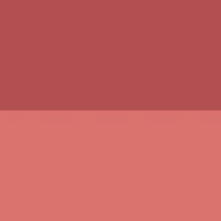 ABSOLUTE NEW YORK CHEEKY BLOOM BLUSH SOFT HIBISCUS 02 - Image 3