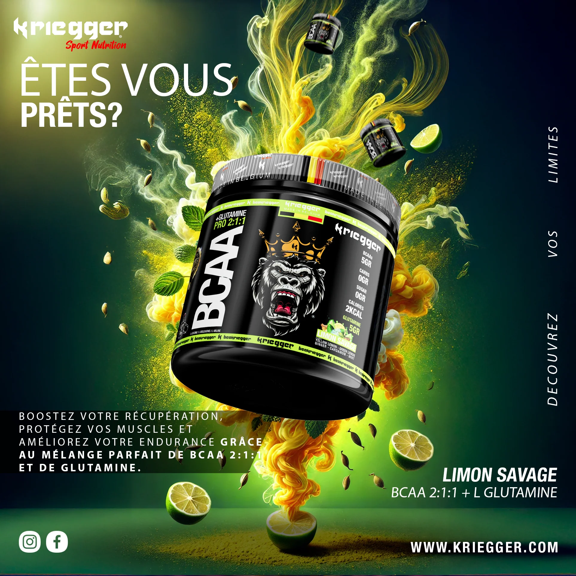Kriegger BCAA 2:1:1 + GLUTAMINE 300g - Image 6