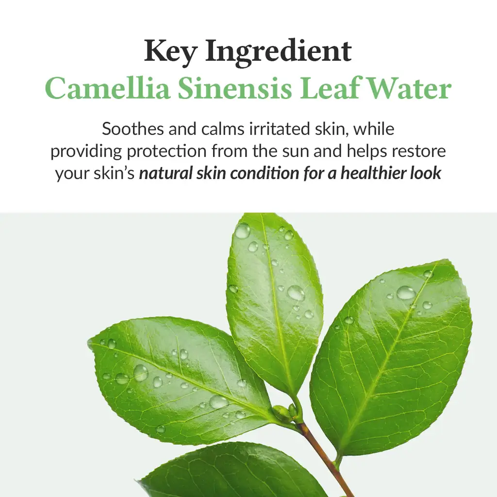 DR ALTHEA GREEN TEA FRESH SUNSCREEN SPF 50+ 45ML - Image 3