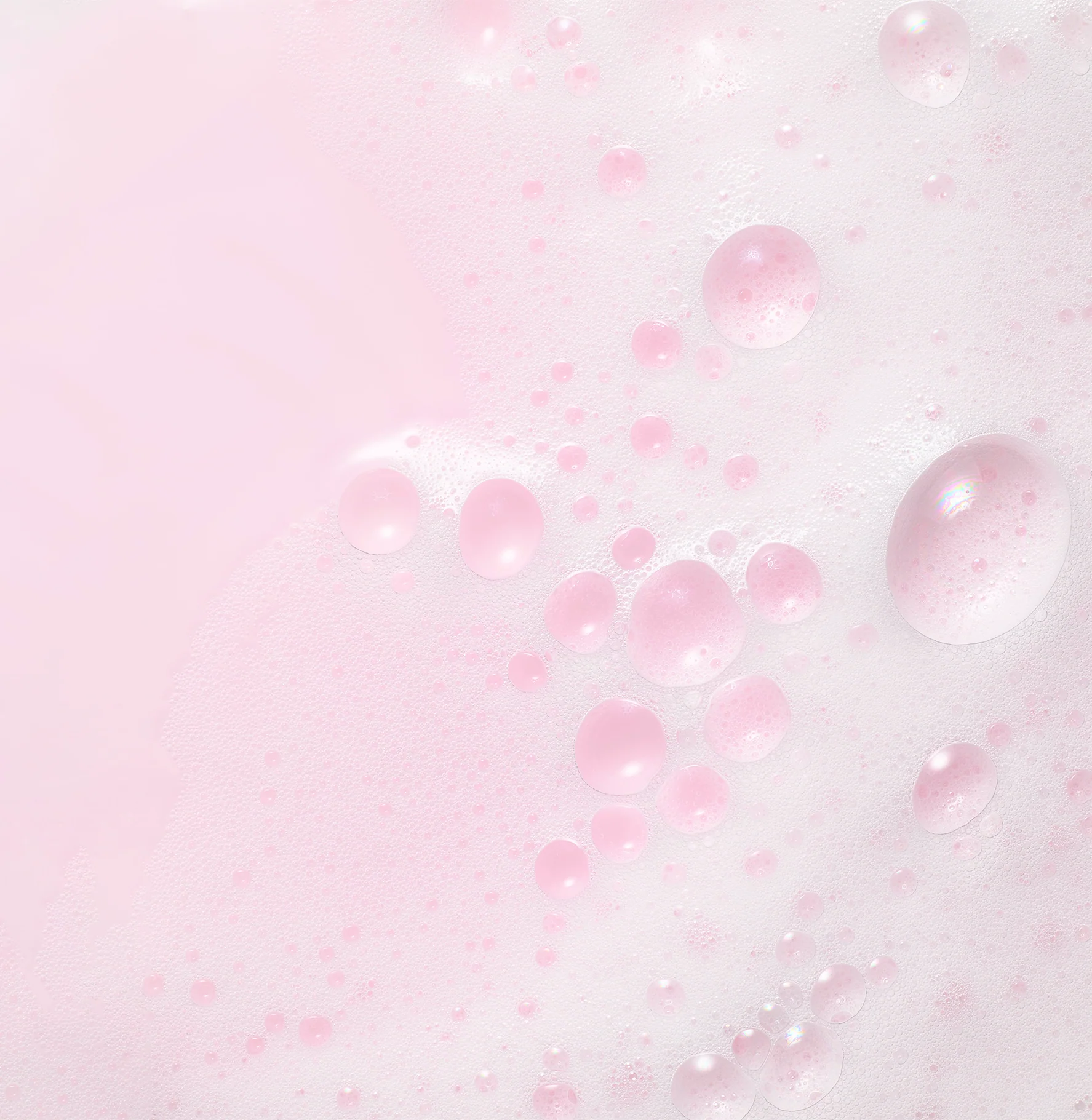 Garnier Grapes Shampooing hydratant régénérant Vignes Merveilleuses 200ml - Image 3