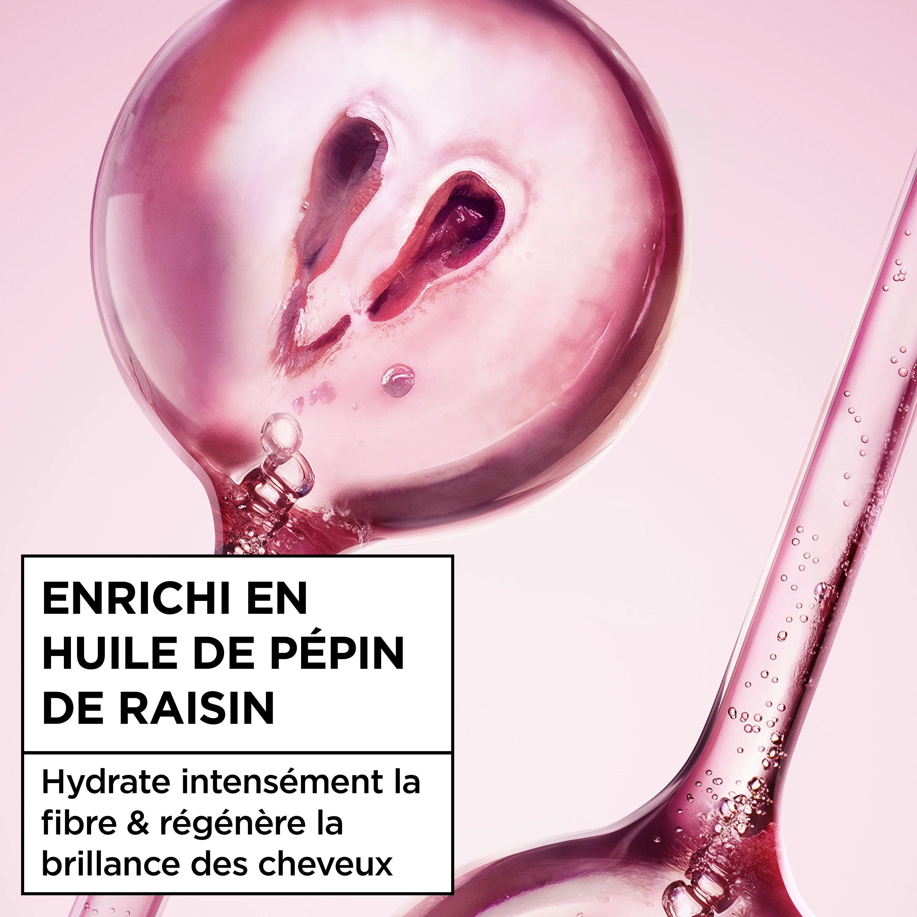 Garnier Grapes Shampooing hydratant régénérant Vignes Merveilleuses 200ml - Image 5