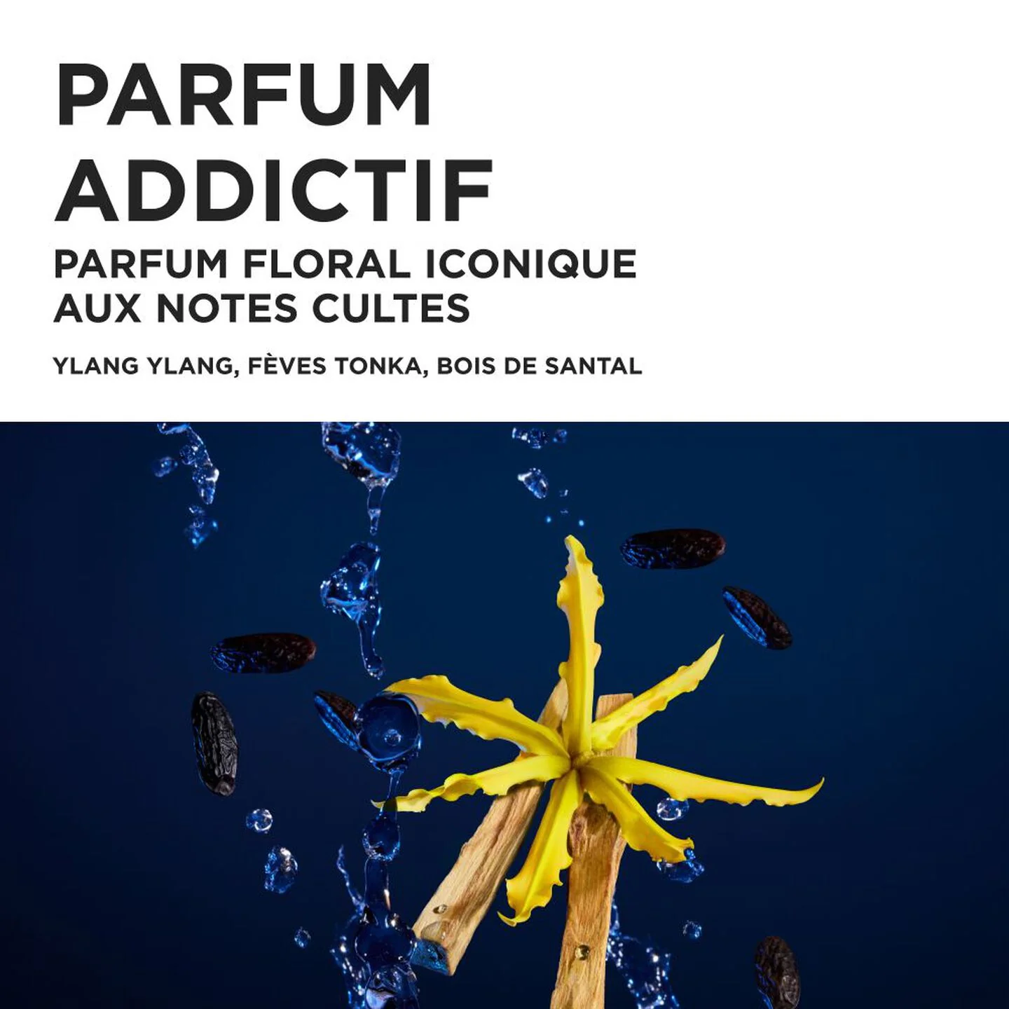 Kérastase Nutritive - Coffret Cadeau Duo Sérum de nuit 8h - Image 5