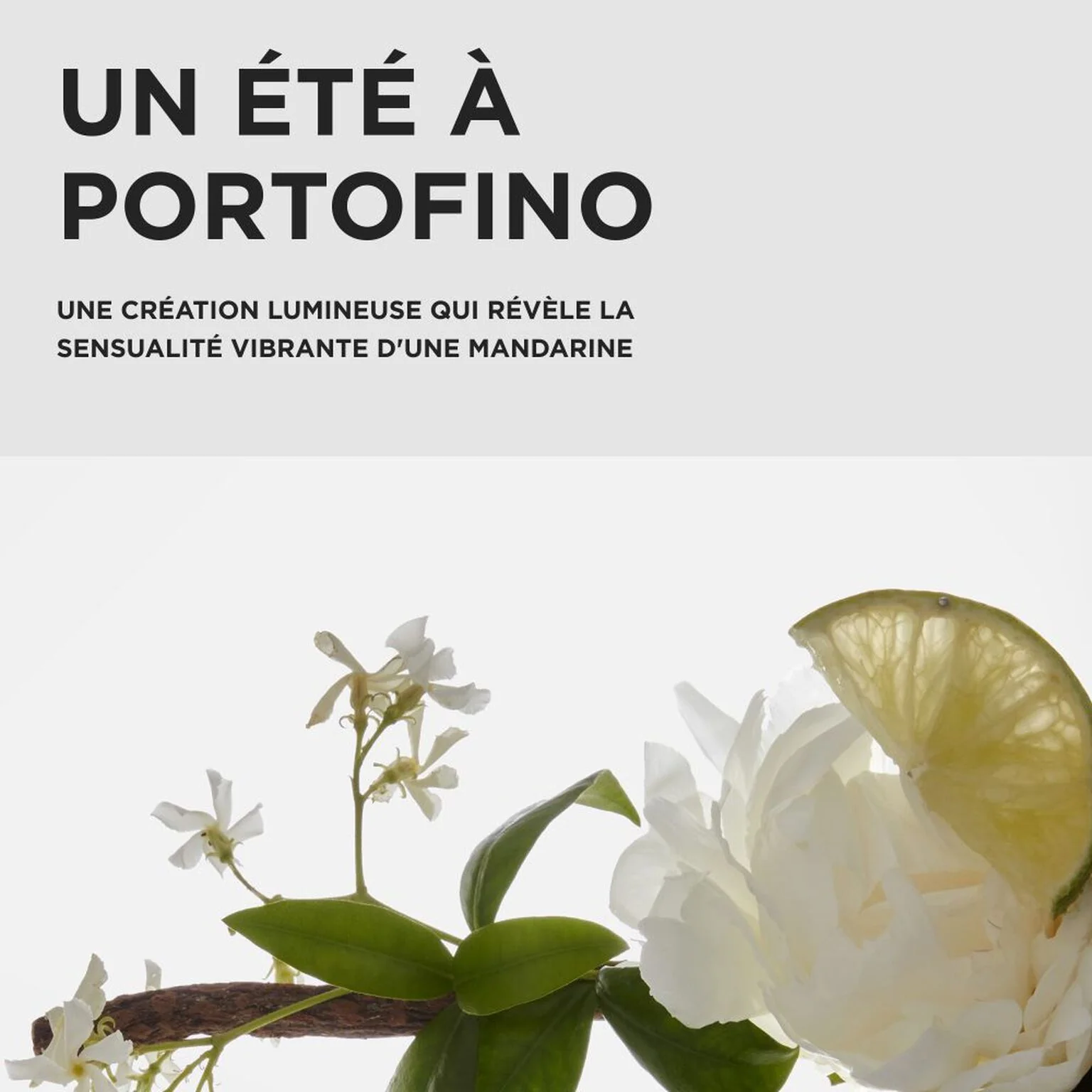Kérastase Première - Coffret Cadeau Trio - Image 5