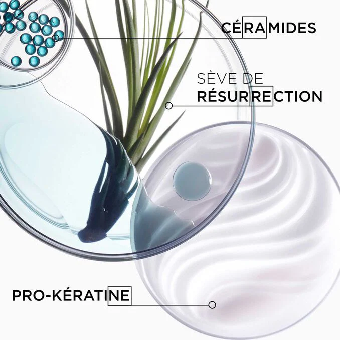 Kérastase Résistance Bain Force Architecte 250ml – Shampooing Réparateur Cheveux Abîmés - Image 6