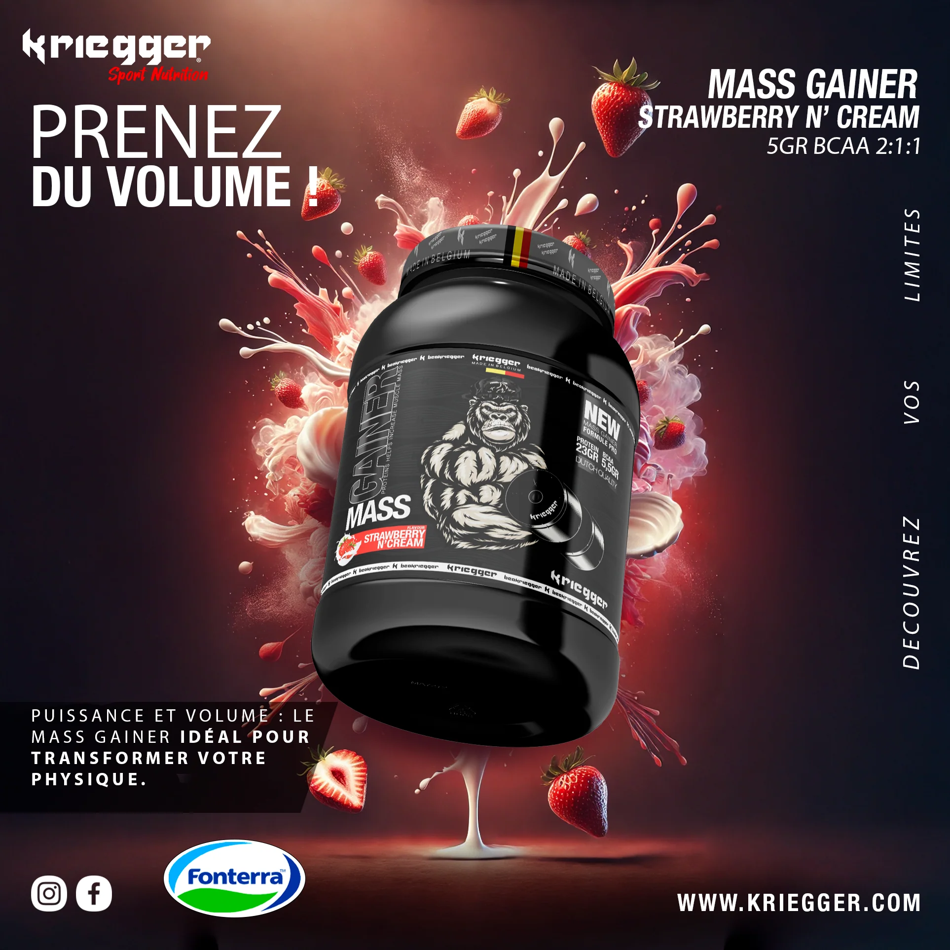 Kriegger MASS GAINER 3000 g - Image 7