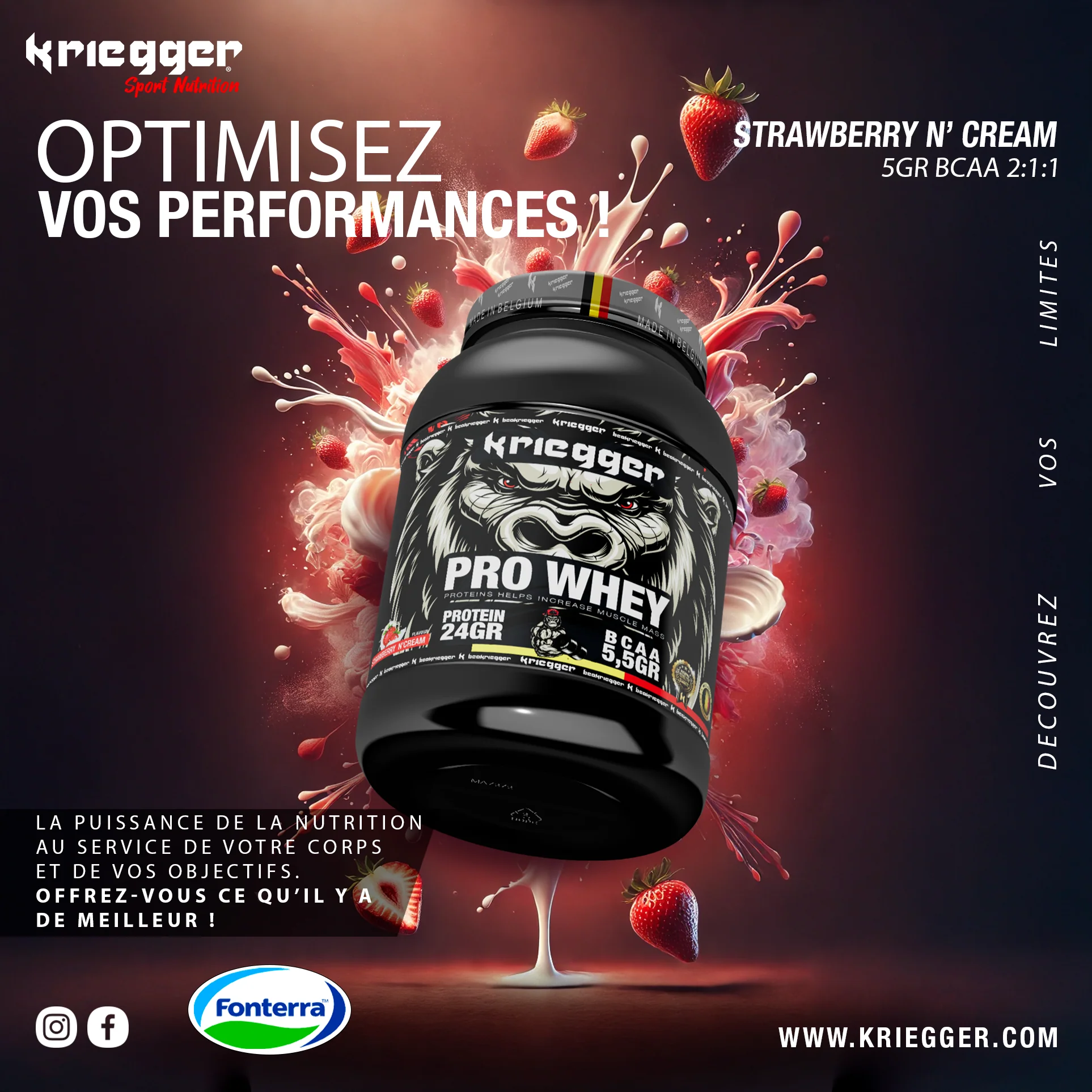 Kriegger PRO WHEY PROTEIN 2000G - Image 9