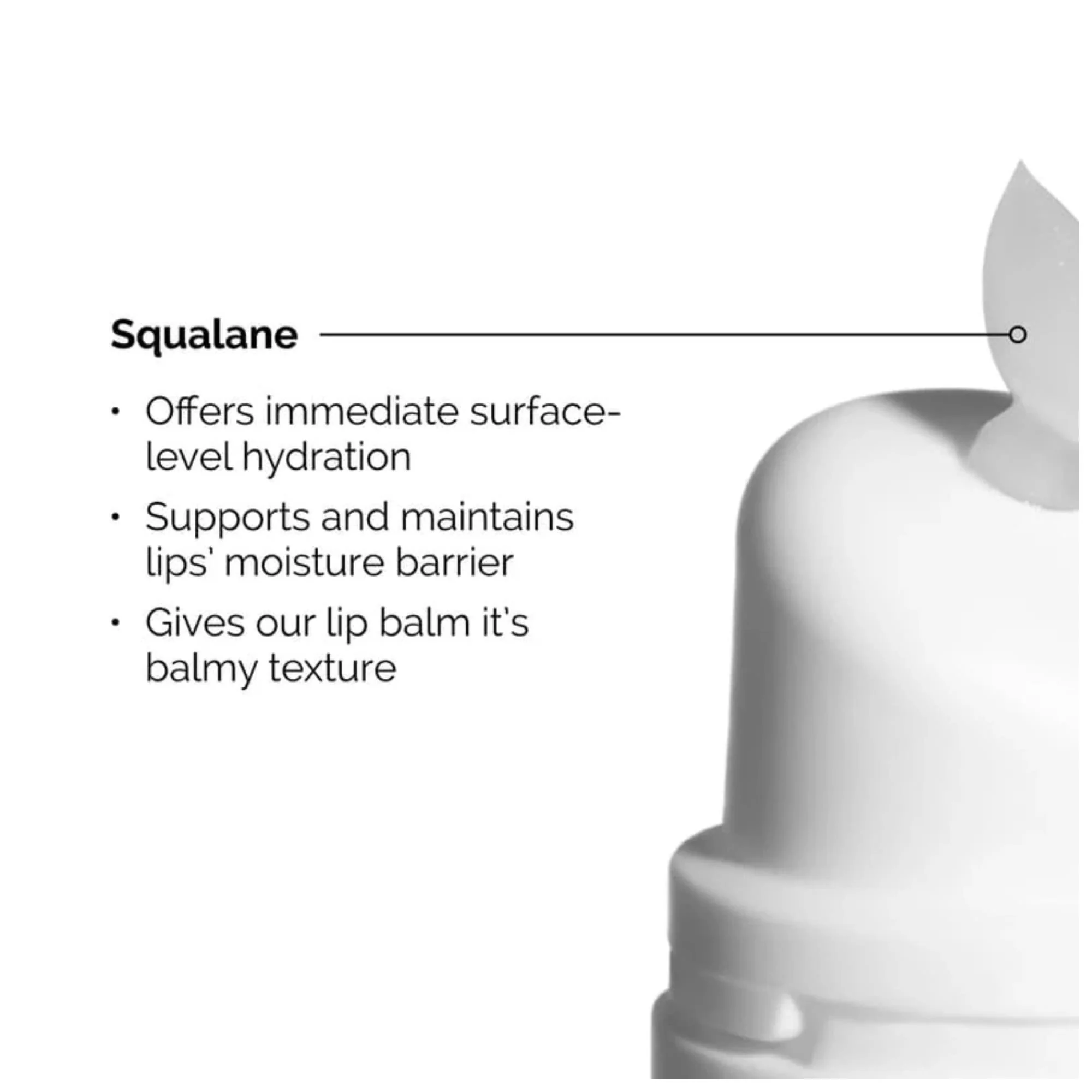 THE ORDINARY BAUME A LEVRES AU SQUALANE+ACIDE AMINES 15ML - Image 2